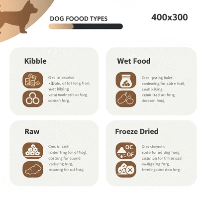 Comparison chart of different types of dog food like kibble, wet food, raw, and freeze-dried, with their pros and cons